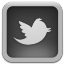 Twitter For Mac Pro Grey Icon 64x64 png
